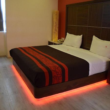 Plutarco Suites Meksika Dış mekan fotoğraf